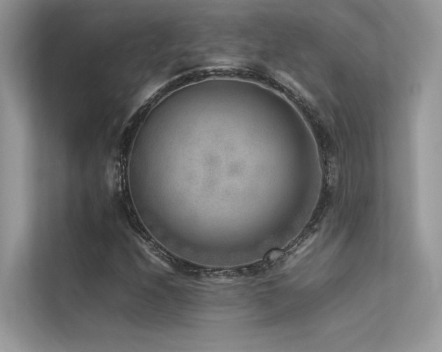 X0000113371208200909151353