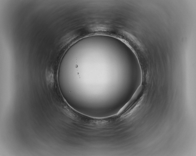 X0000113371209200909151353
