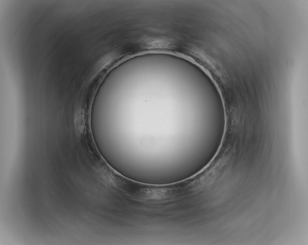 X0000113371211200909151353