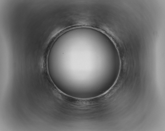 X0000113371215200909151353
