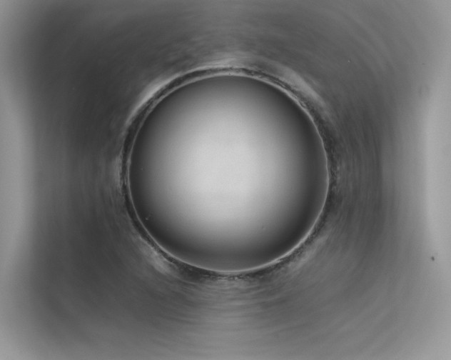 X0000113371216200909151353