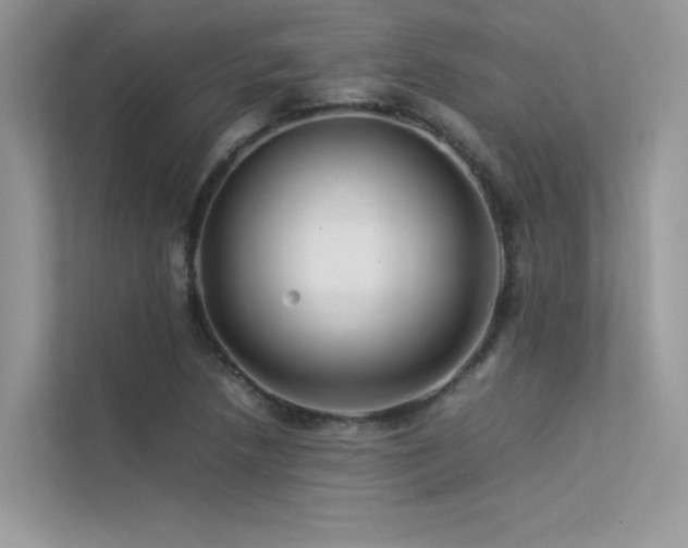 X0000113371218200909151353