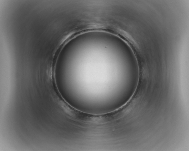X0000113371220200909151353