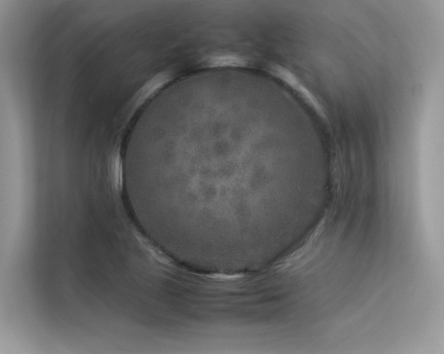 X0000113371221200909151353