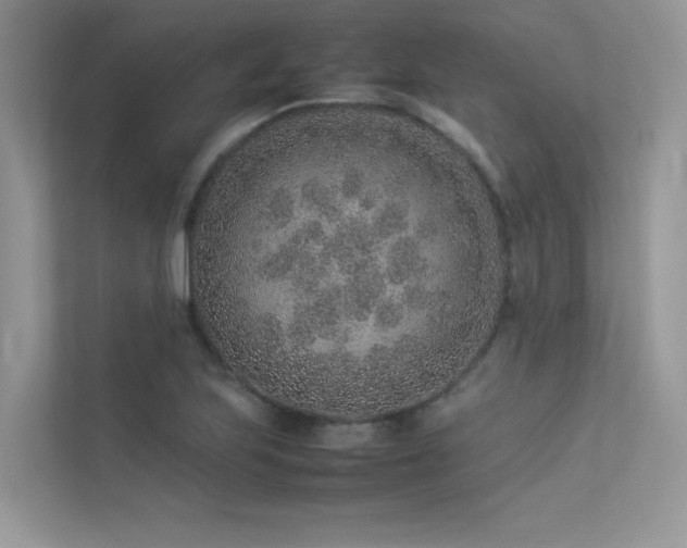 X0000113371223200909151353