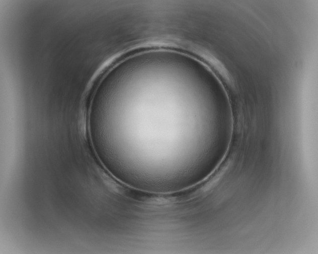 X0000113371224200909151353