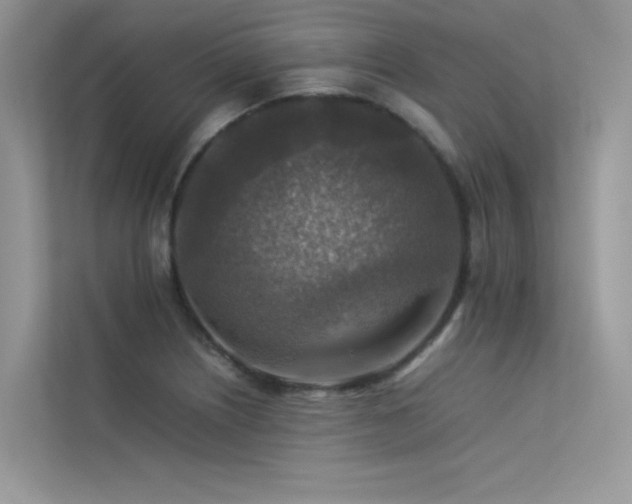 X0000113371226200909151353