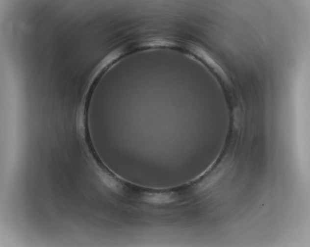 X0000113371229200909151353