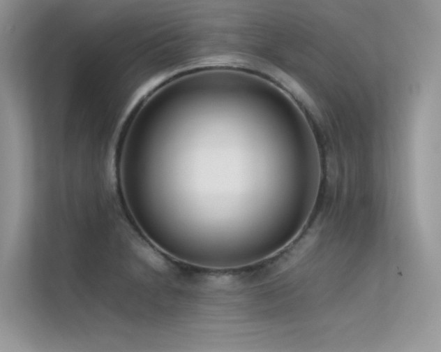 X0000113371230200909151353