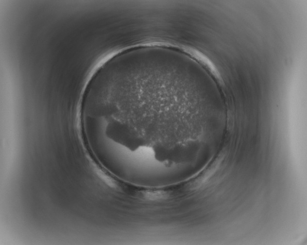 X0000113371231200909151353