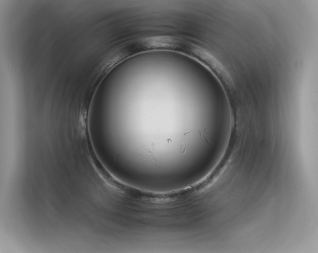 X0000113371233200909151353