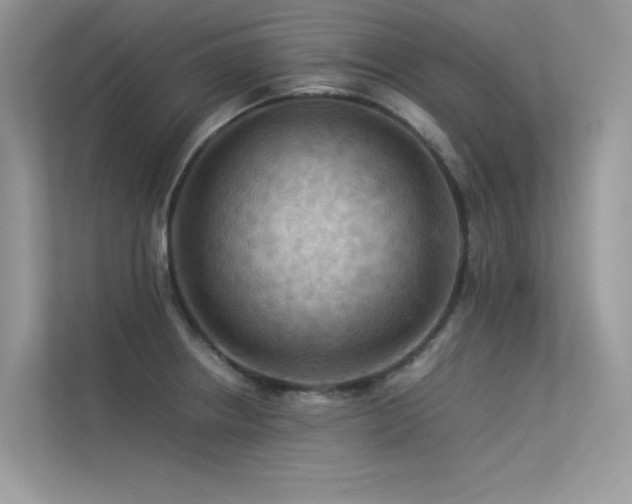 X0000113371234200909151353