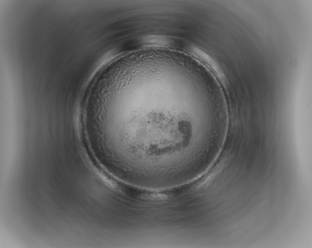 X0000113371235200909151353