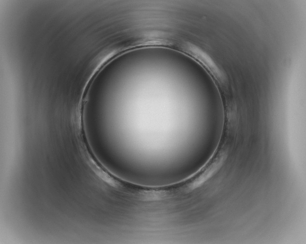 X0000113371236200909151353