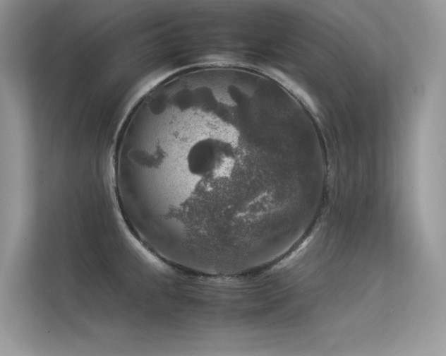 X0000113371239200909151353