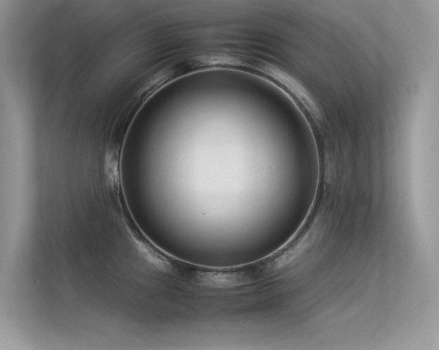 X0000113371241200909151353