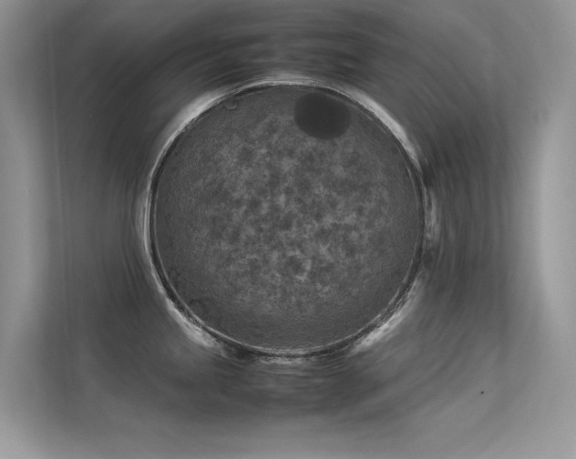 X0000113371245200909151353
