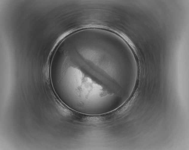 X0000113371246200909151353