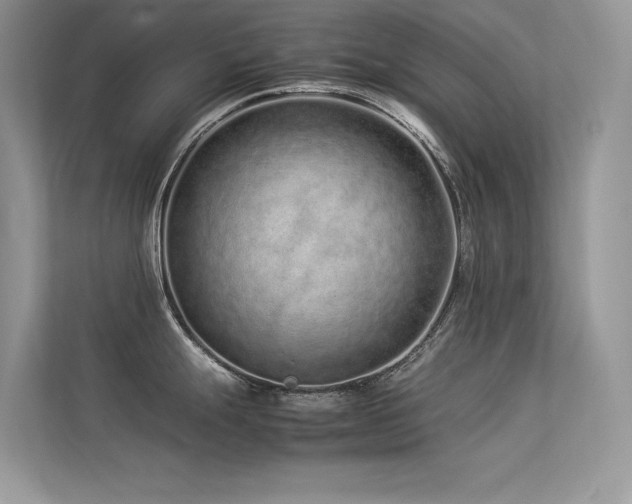 X0000113371247200909151353