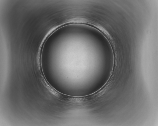 X0000113371248200909151353