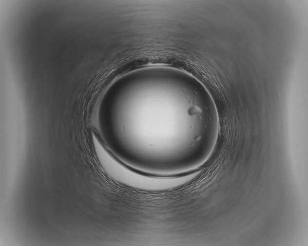 X0000113371249200909151352