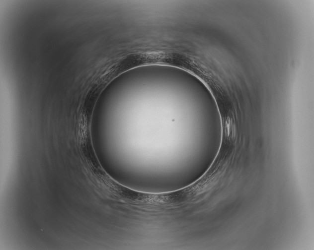 X0000113371251200909151352