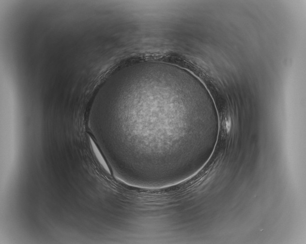 X0000113371252200909151352
