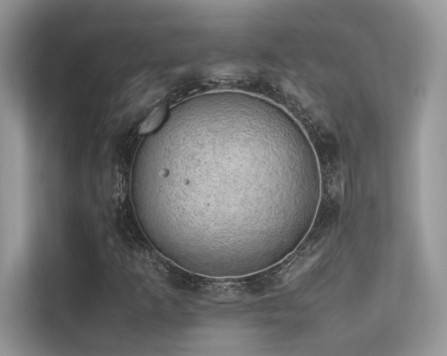 X0000113371253200909151352