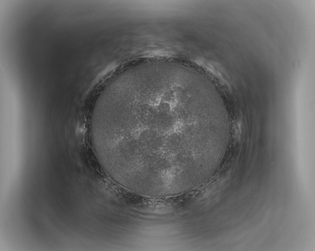 X0000113371254200909151352