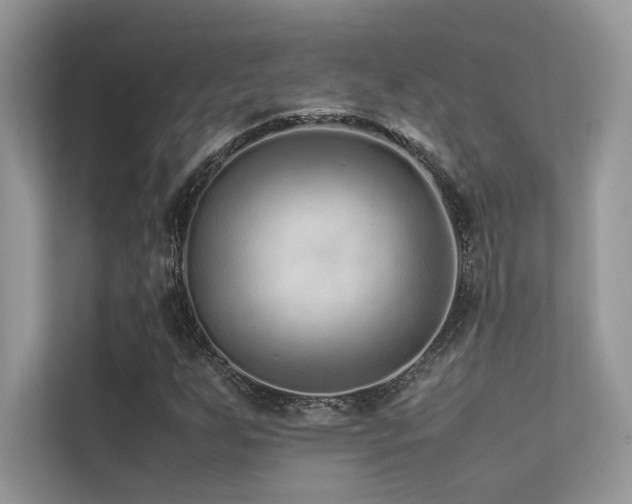 X0000113371255200909151352