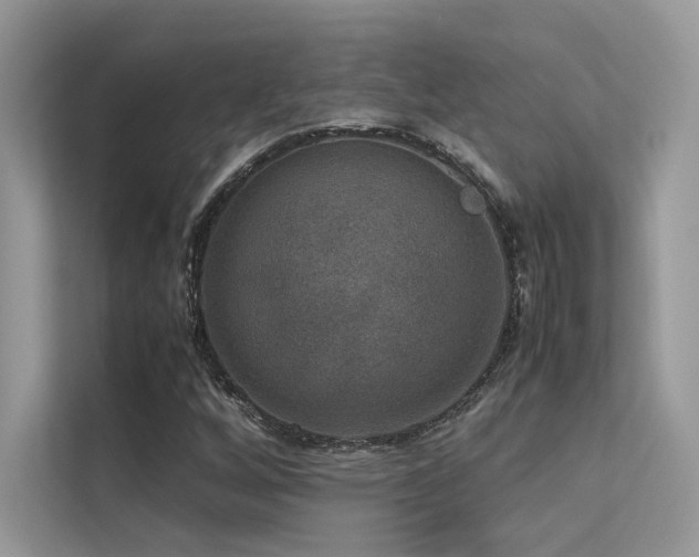 X0000113371256200909151352