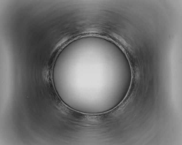 X0000113371258200909151352