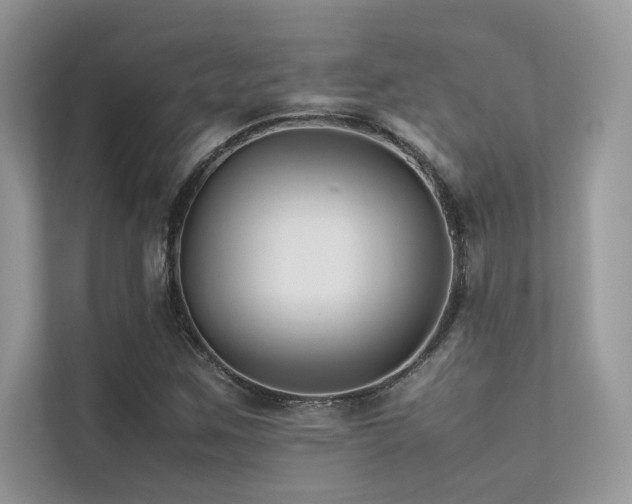 X0000113371259200909151352