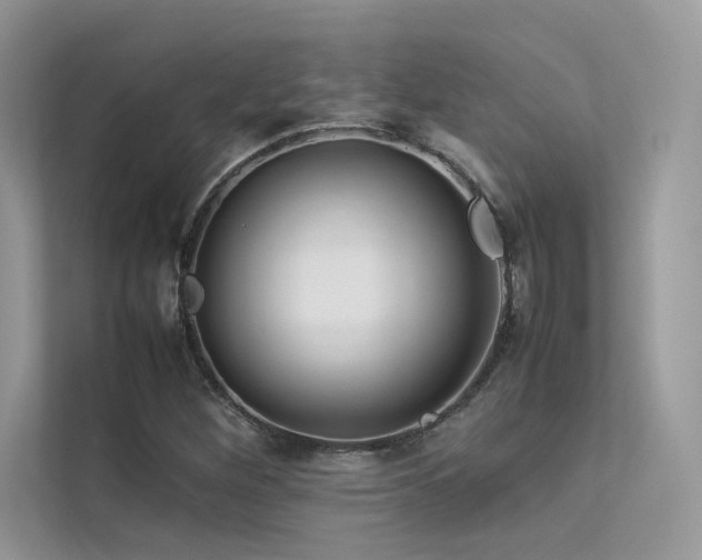 X0000113371260200909151352
