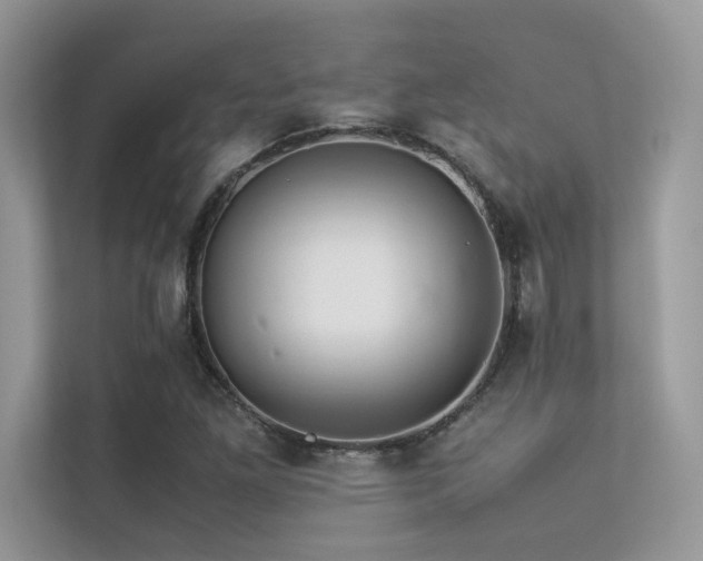X0000113371261200909151352