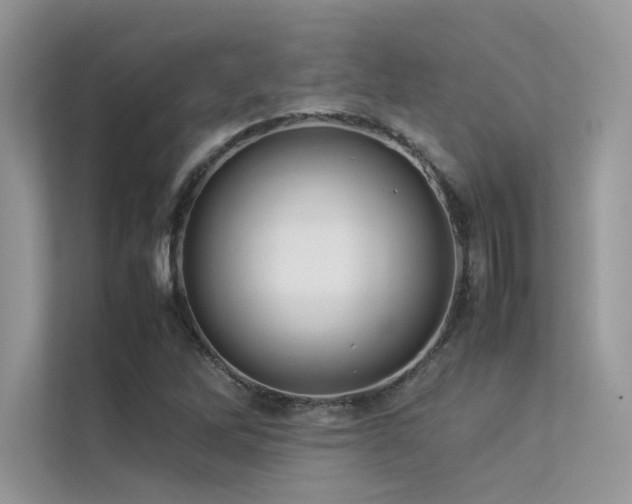 X0000113371262200909151352