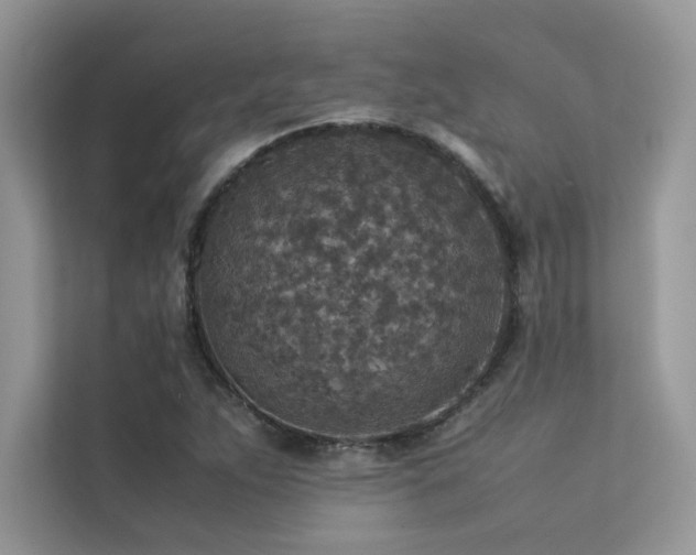X0000113371263200909151352