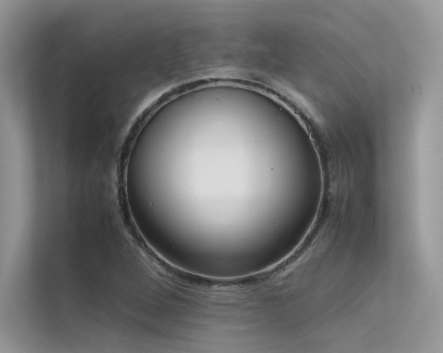 X0000113371264200909151352
