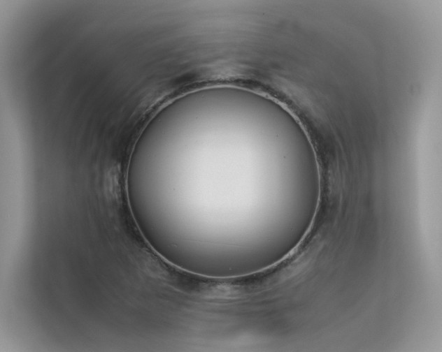 X0000113371265200909151352