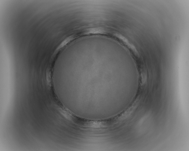 X0000113371266200909151352