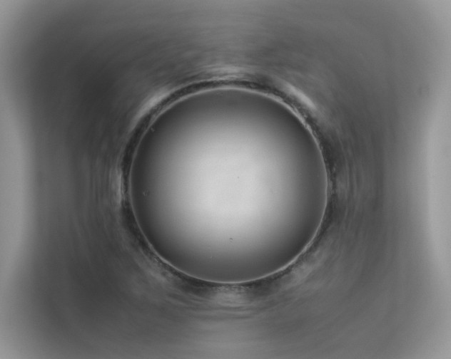 X0000113371267200909151352