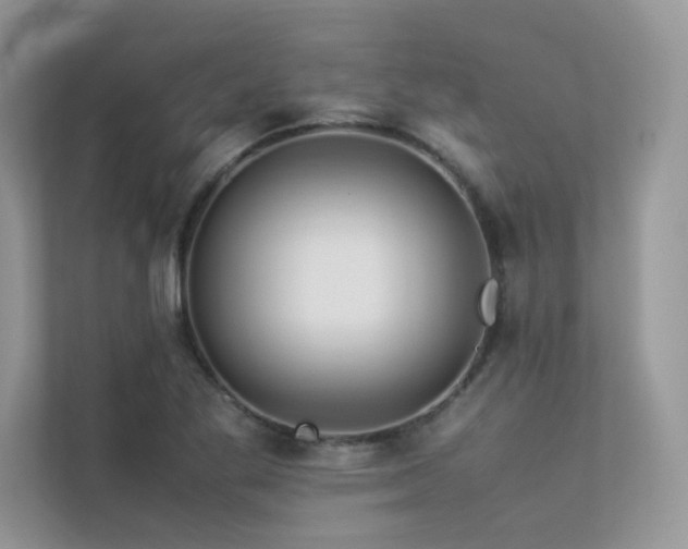 X0000113371269200909151352