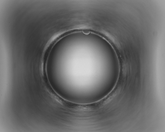 X0000113371270200909151352