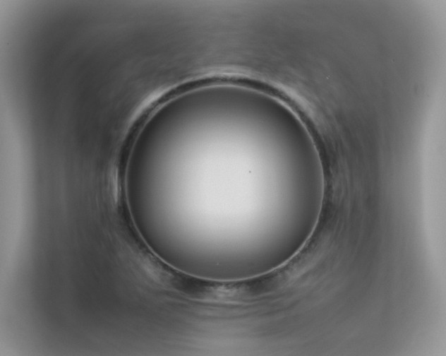 X0000113371271200909151352