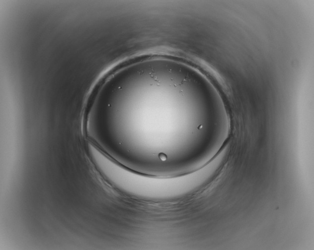 X0000113371272200909151352
