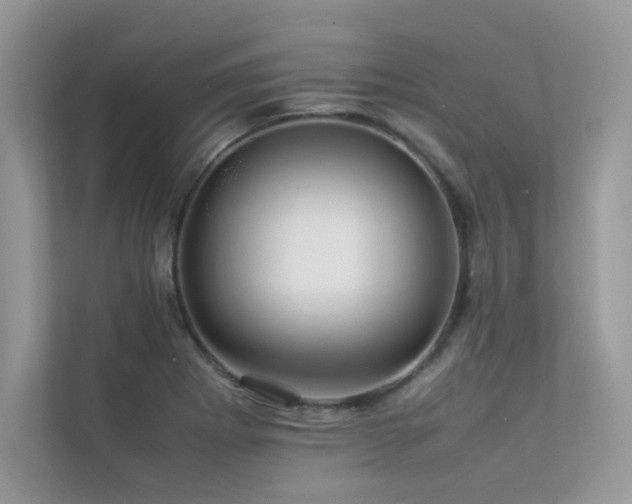 X0000113371273200909151352
