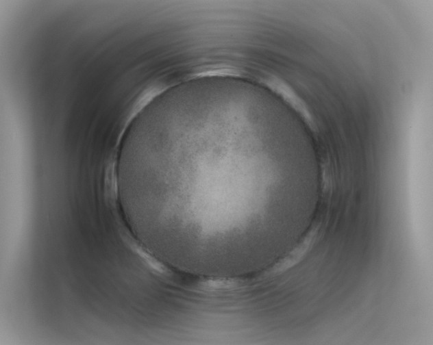 X0000113371274200909151352