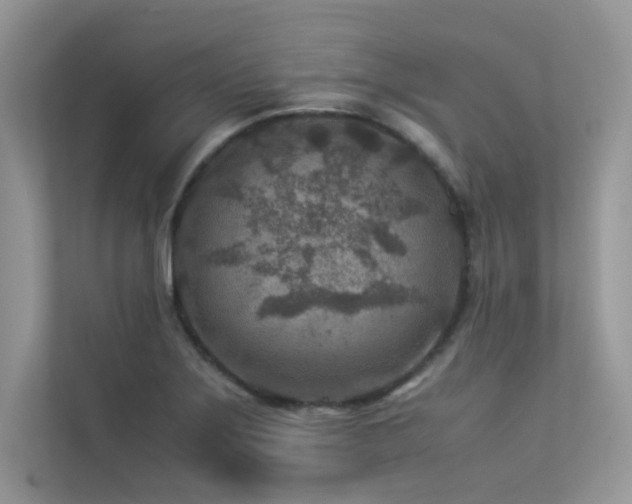 X0000113371275200909151352