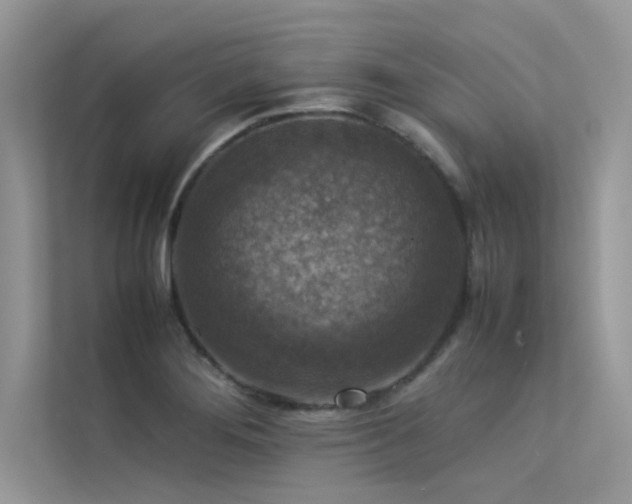 X0000113371276200909151352