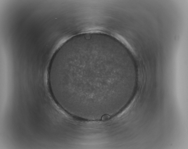 X0000113371277200909151352